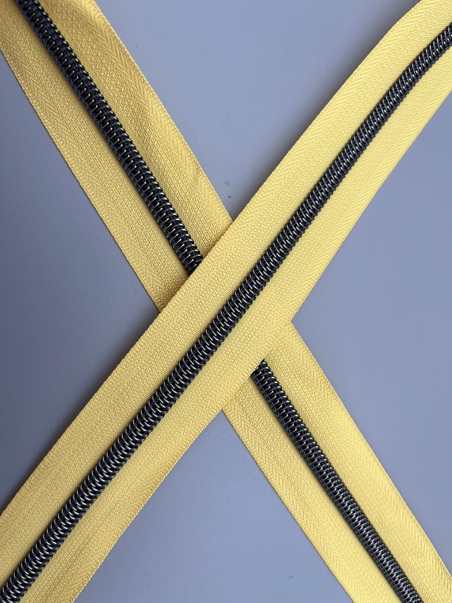 Buttercup with Gunmetal-#5 Zipper Tape