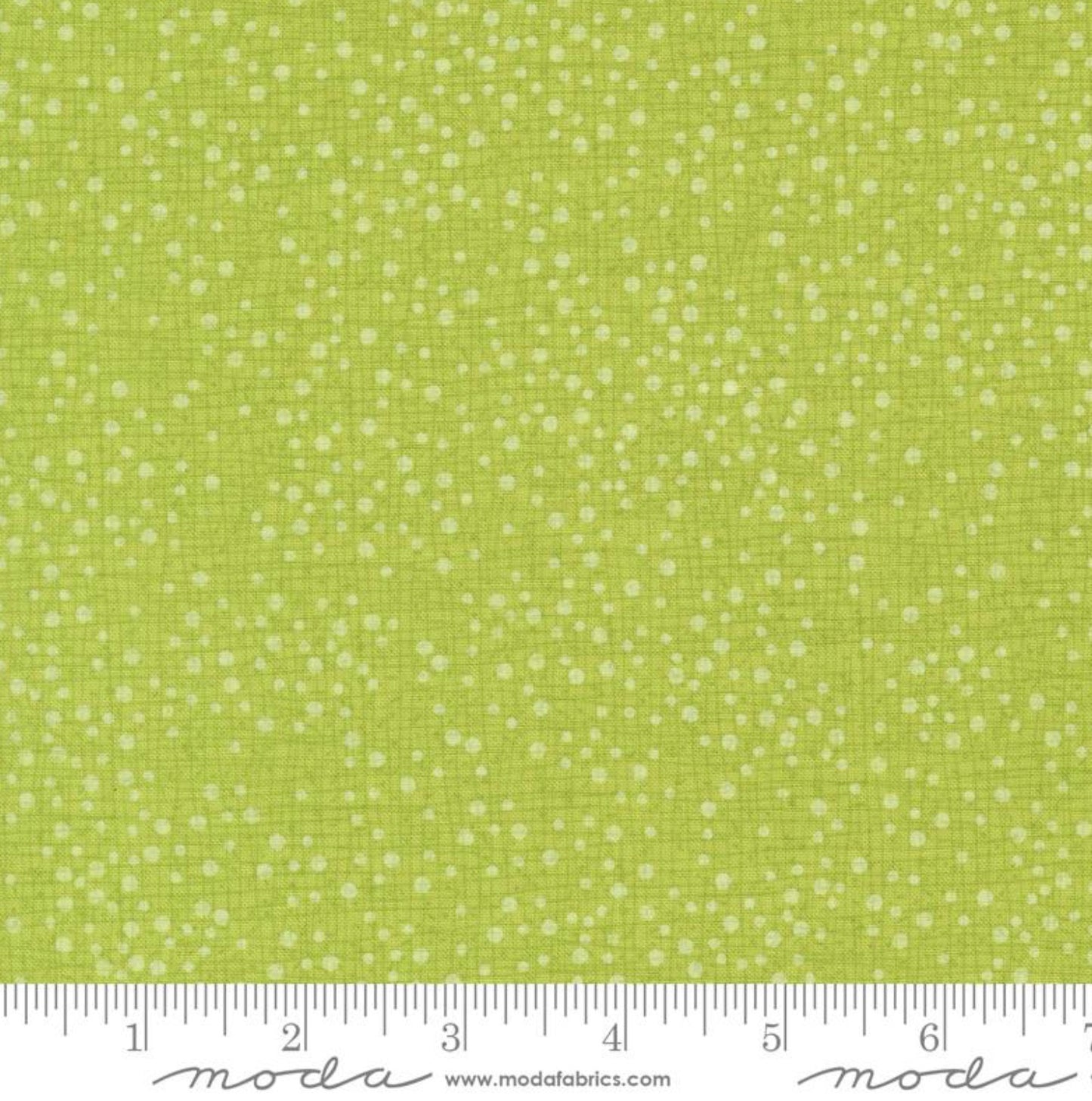 Dotty Thatched Lime