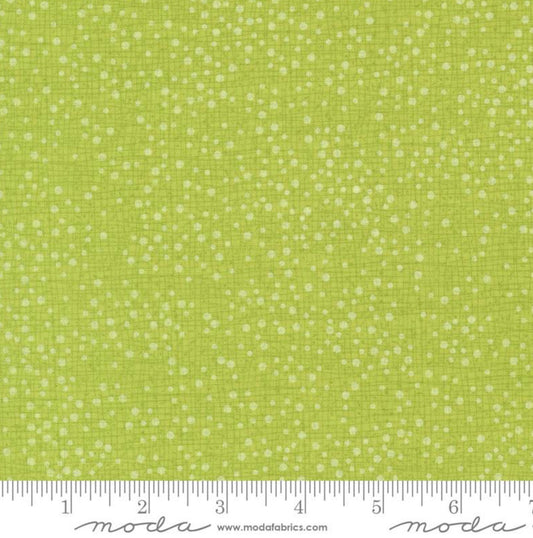Dotty Thatched Lime